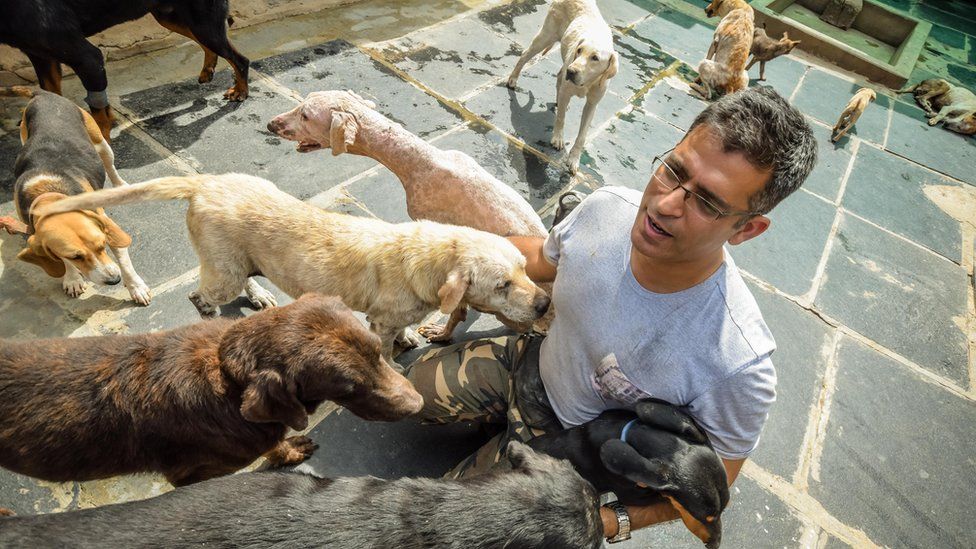 Rakesh Shukla with some of his dogs