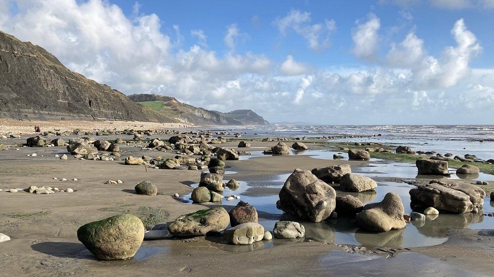 WEDNESDAY - Charmouth