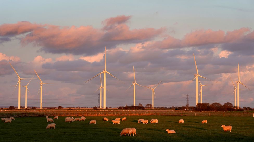 Wind farm