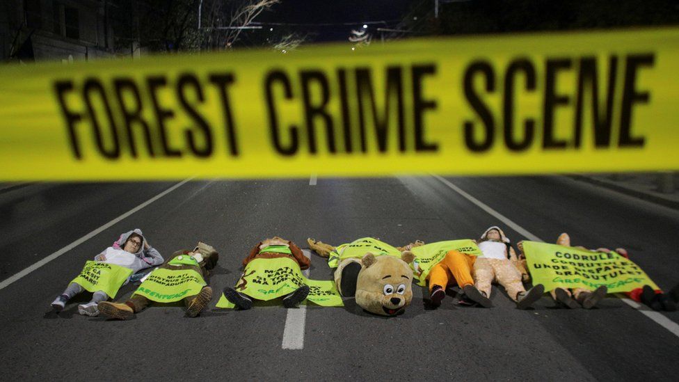 Activists in animal costumes lie on the road in front of fake police tape reading "forest crime scene"