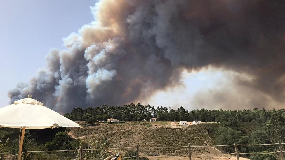 Smoke rises into sky over wooded hill