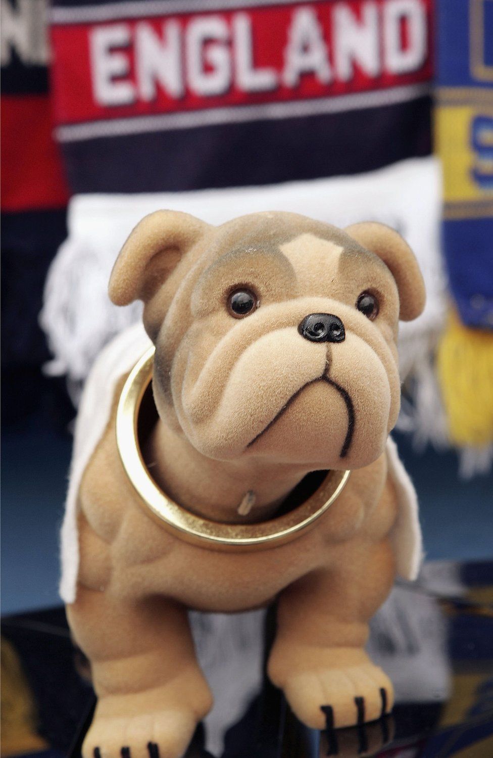 British bulldog ownership has doubled but breed faces high risk of