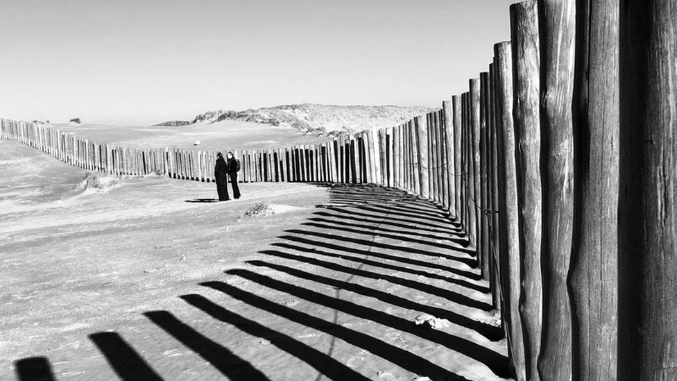 A fence on a wild dune
