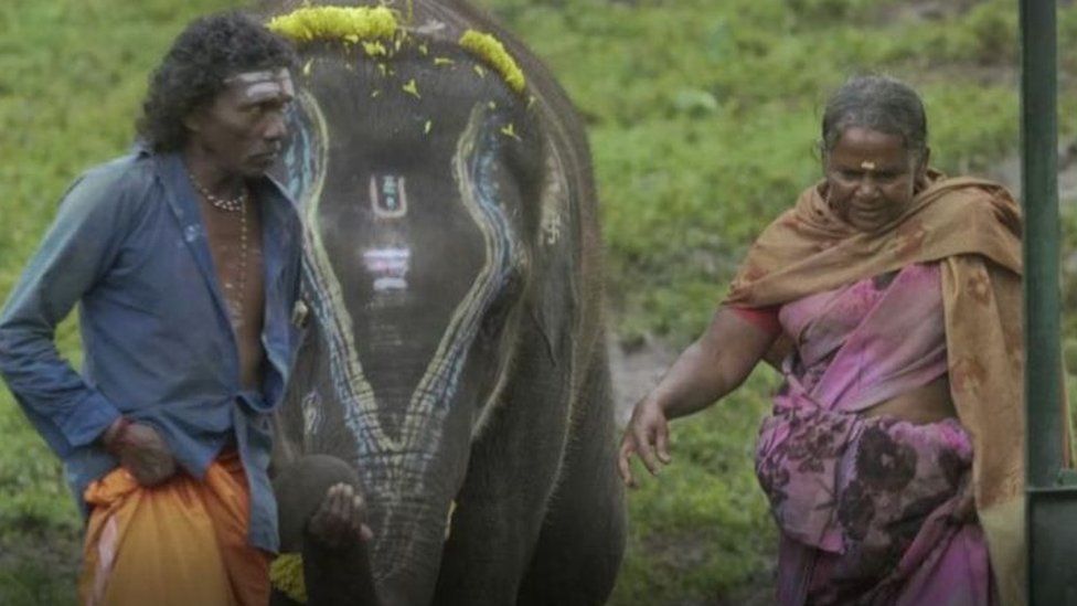 Elephant whisperers Oscar win