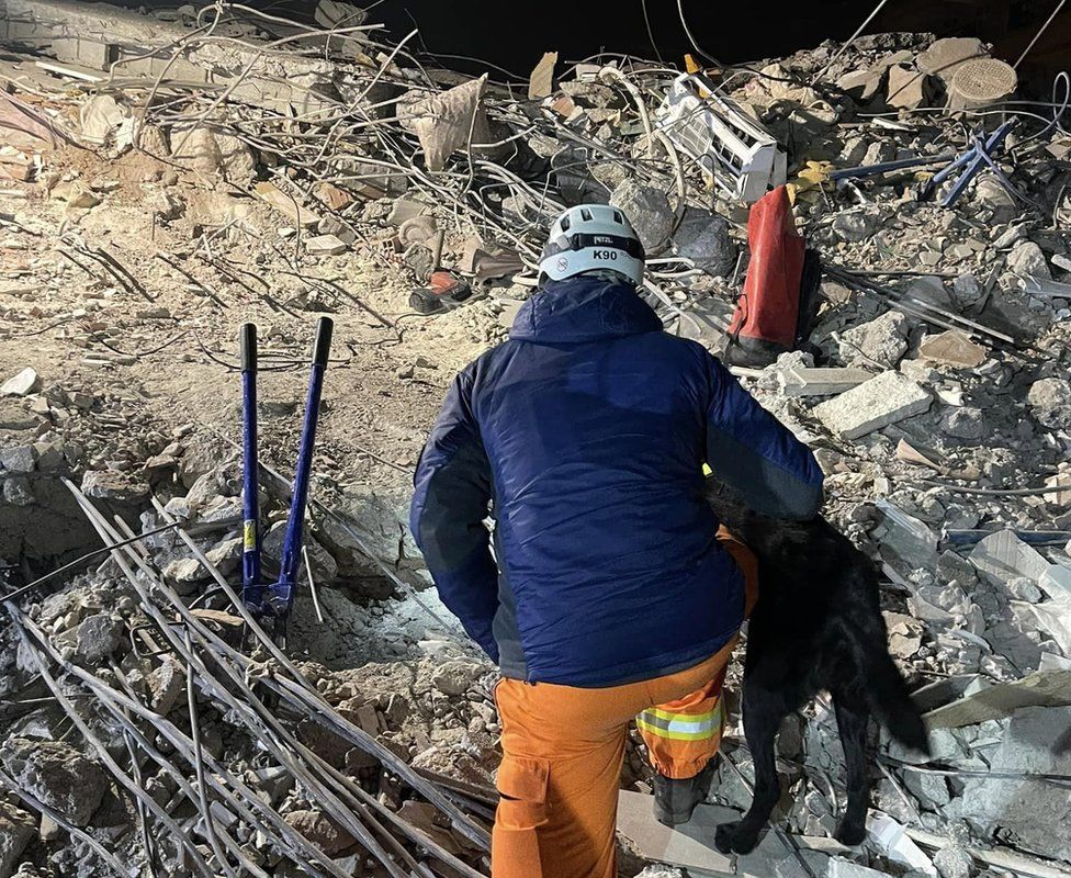 Ryan Gray y su perro buscan señales de vida en una pila de escombros en Adana