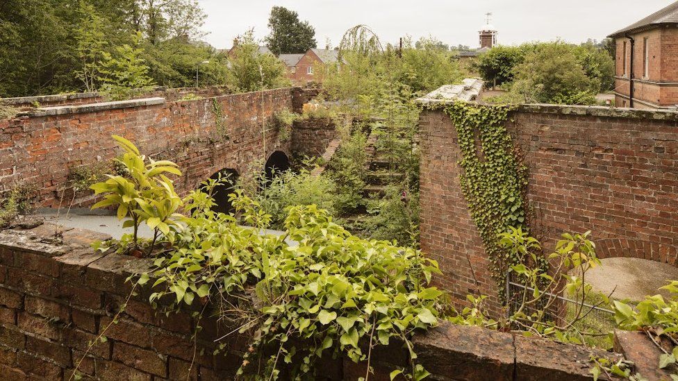 Brick walls with foliage erupting in several places