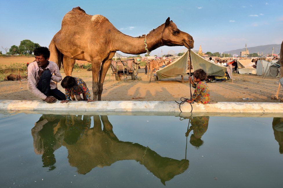 A camel, a man and two children are reflected through a pool of water