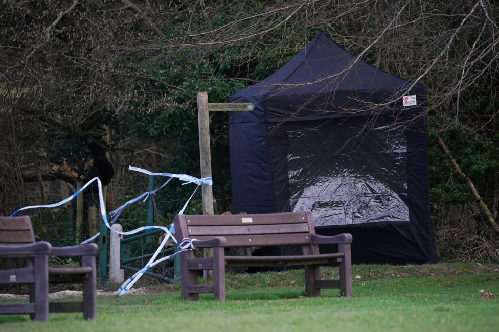 Caterham dog attack Dog walker was mauled to death BBC News