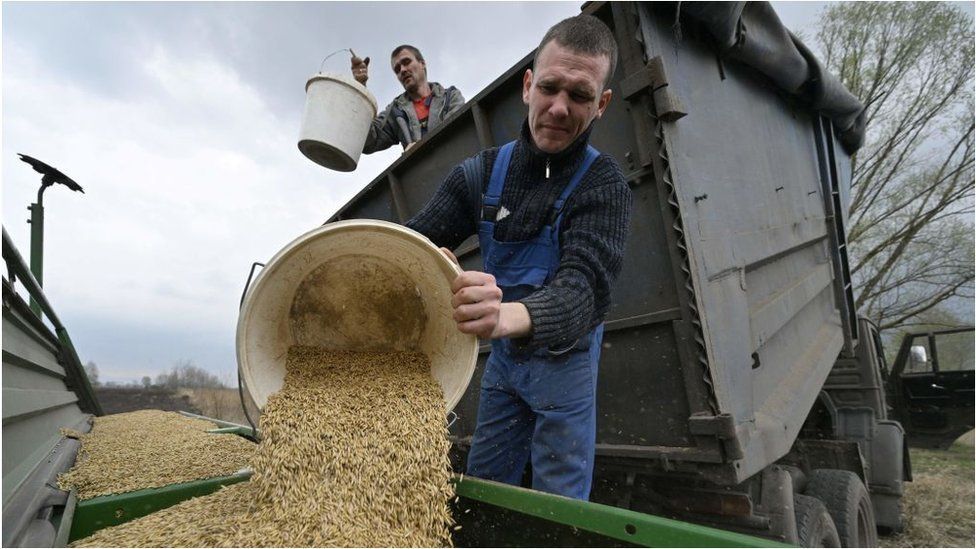 Farmers load oat in the seeding-machine to sow in a field east of Kyiv on April 16, 2022. - Russia invaded Ukraine on February 24, 2022. (P