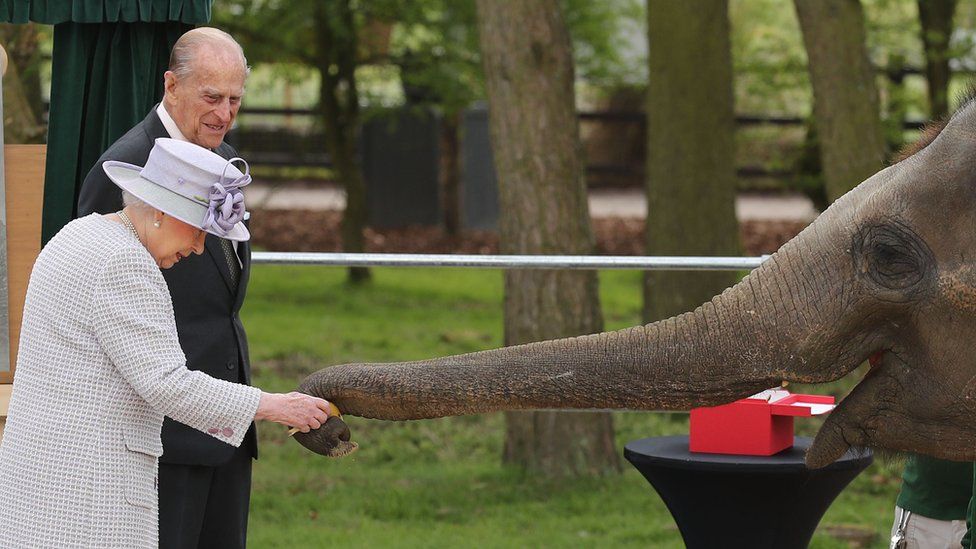 The Queen and Prince Philip feeding an element at Whipsnade Zoo