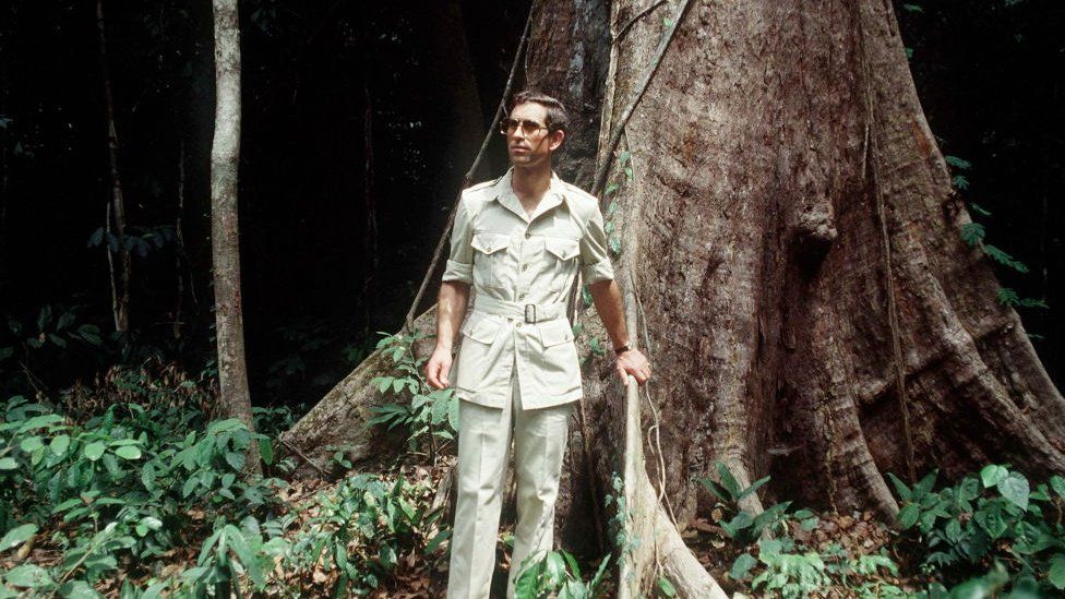 King Charles younger in jungle