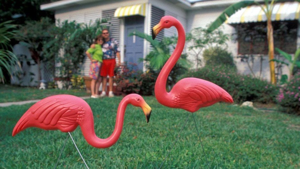 Resultado de imagem para os flamingos kitsch dos estados unidos