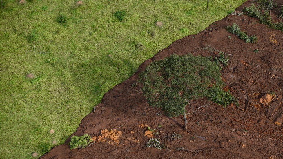An aerial view of land partially covered in thick mud after the dam collapsed