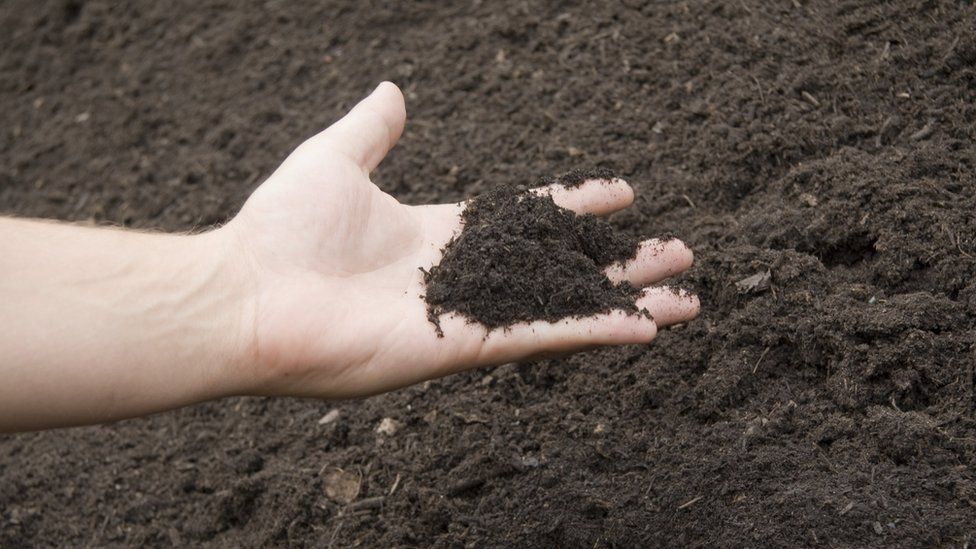 Soil improver from amenity compost scheme, Wales, United Kingdom