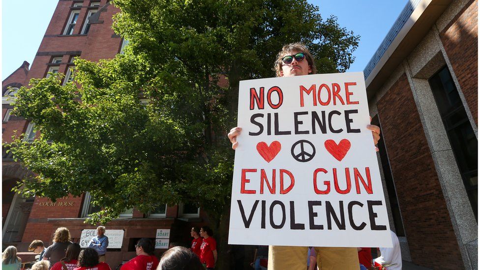 US Court Strikes Down Domestic Violence Gun Law BBC News