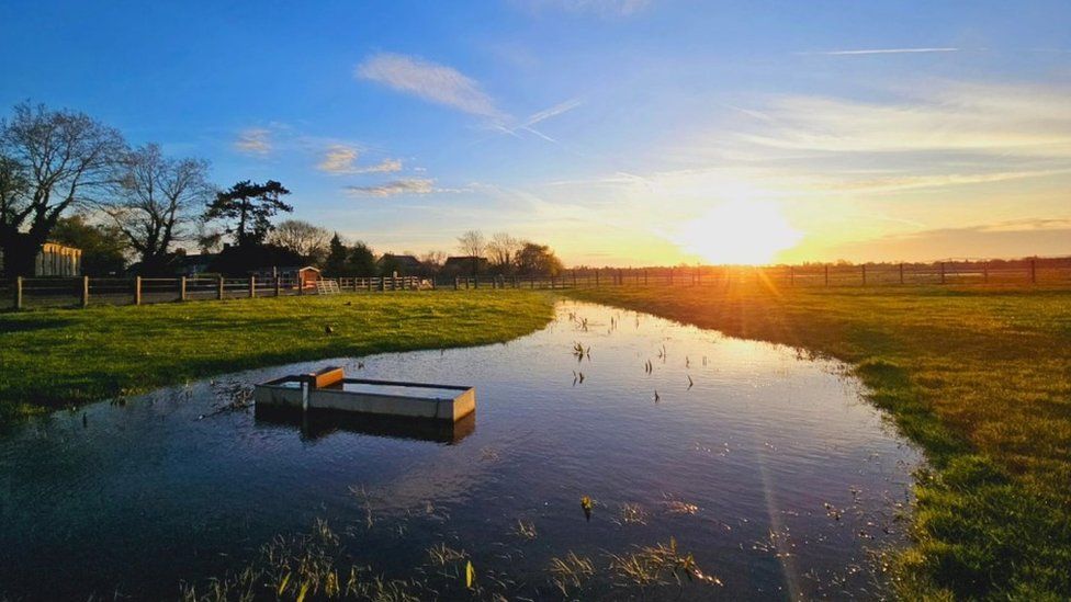 SATURDAY - Port Meadow sunrise