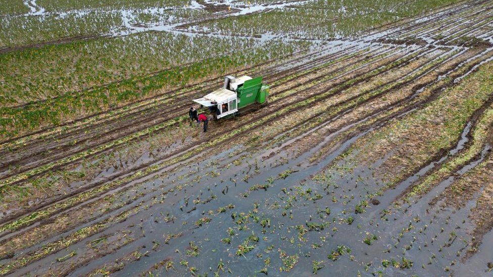 An aerial image shows farmers working in a flooded field