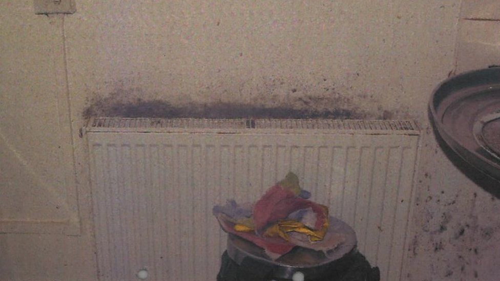 Mould in the flat