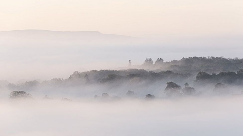 Your pictures on the theme of 'misty mornings' BBC News