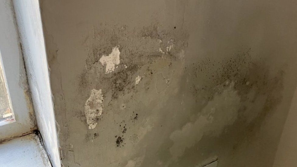 Mould on walls in home in Tameside