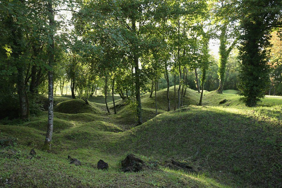 Overgrown WWI shell craters in Verdun