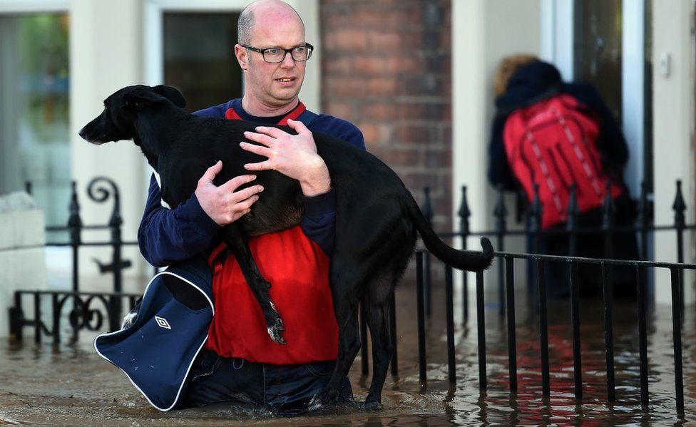 Man carries dog through water