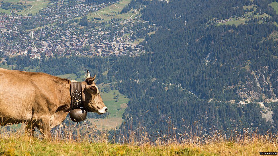 Cowbell campaigner denied Swiss passport by locals for being too annoying -  BBC News