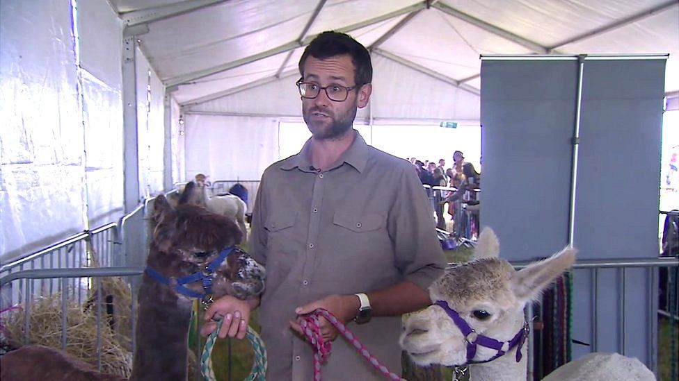 Shaun Lock with his alpacas