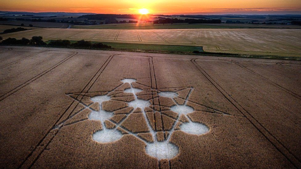 The sun sets on a crop circle in Dorset in 2019. The formation depicts the Tree of Life, a mystical symbol used in the ancient Jewish tradition of Kabbalah.