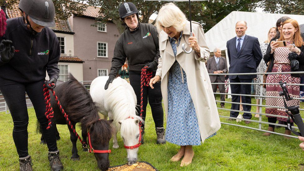 Queen Camilla with ponies at Anna Sewell House in 2023