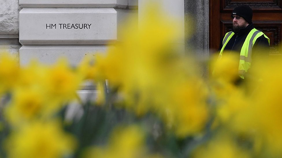 Daffodils in front of the Treasury