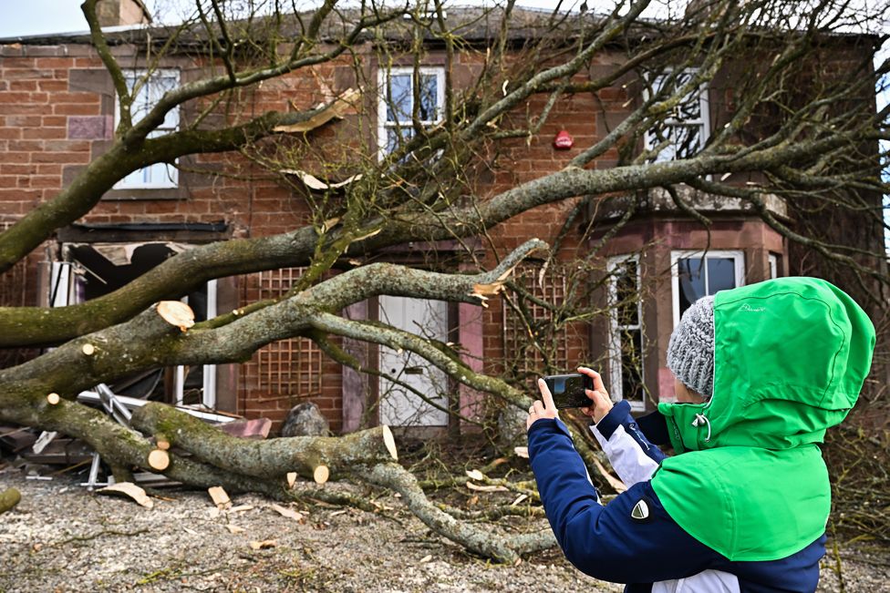 A woman photographs the remains of a tree that was blown down in front of a house in Edzell, Angus, Scotland