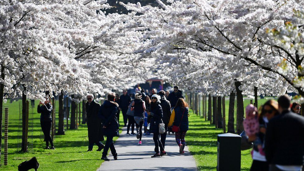 People walk under cherry blossom trees in Battersea Park, as the number of coronavirus disease (COVID-19) cases grow around the world, in London