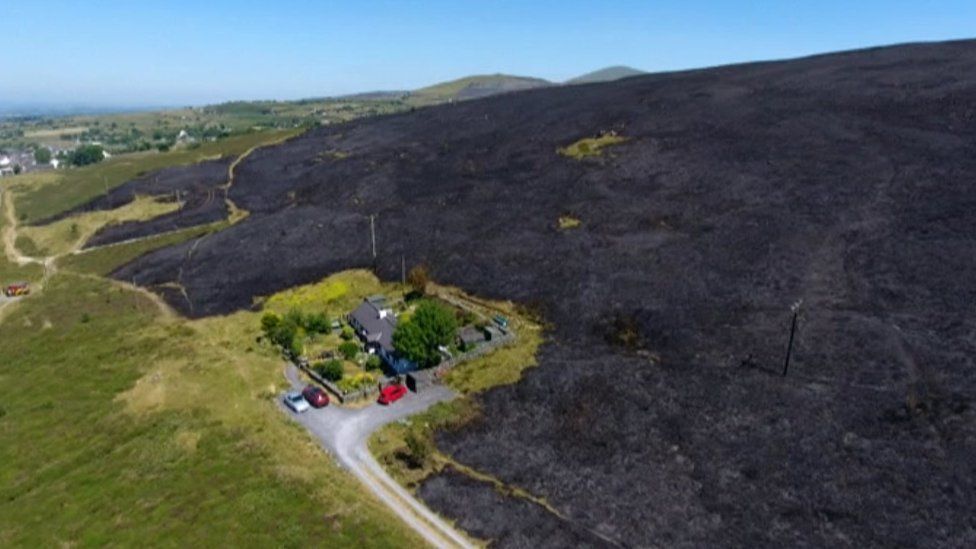 Fire damaged land at Carmel