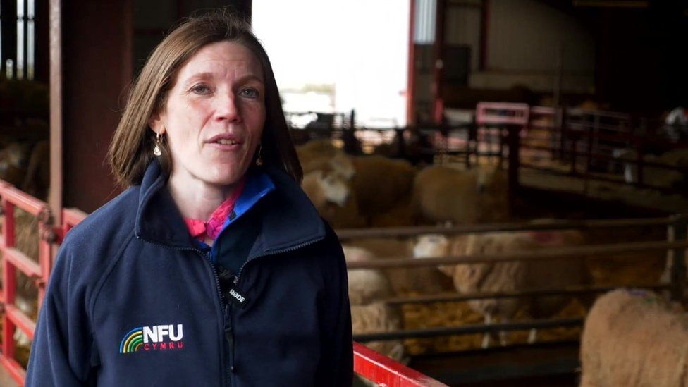 Parc Cenedlaethol y Bannau i ddefnyddio enw Cymraeg yn unig BBC Cymru Fyw