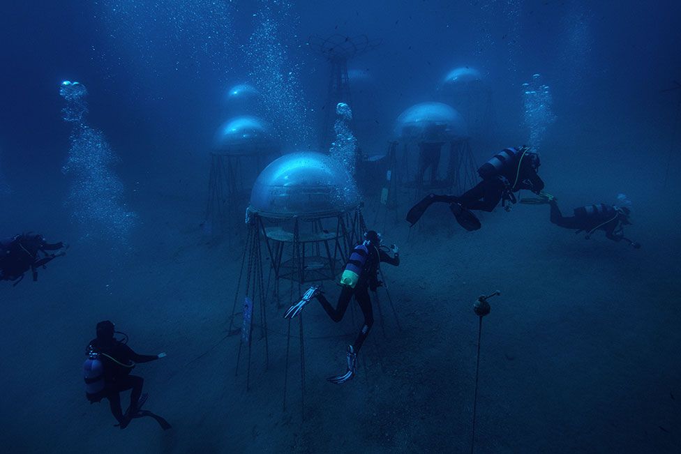 Divers swim around underwater pods, which are an alternative system of agriculture