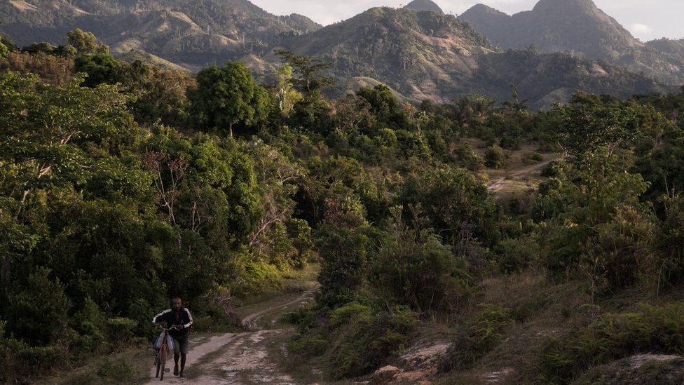 A man pushes a bicycle close to a vanilla plantation forest in Madagascar