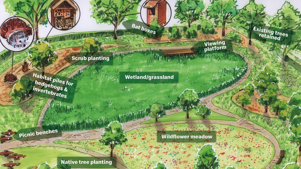 Plan of garden