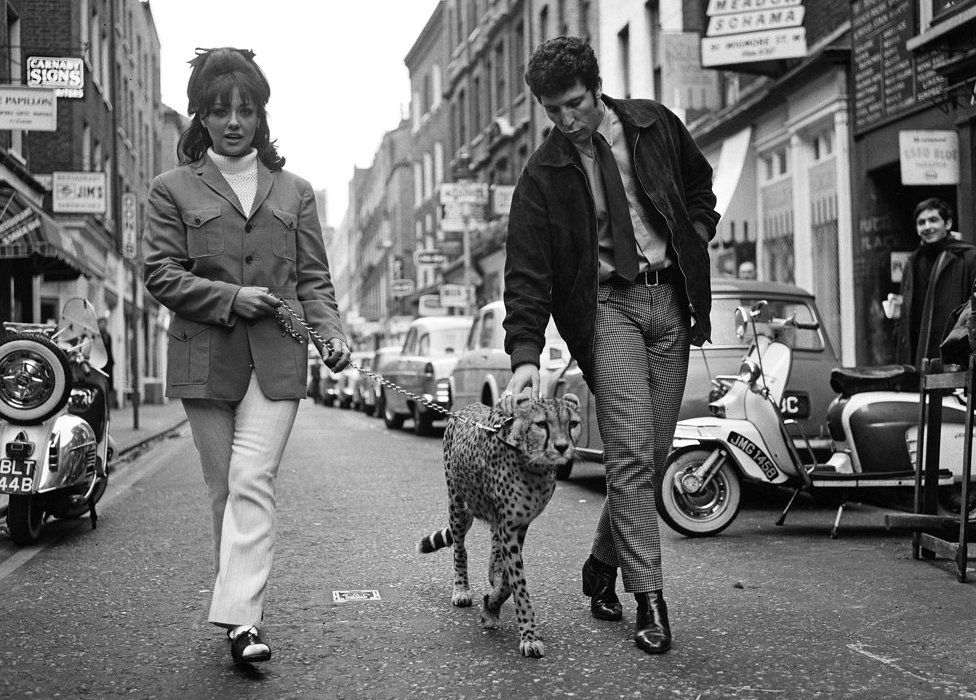 Tom Jones with Christine Spooner and a cheetah on Carnaby Street