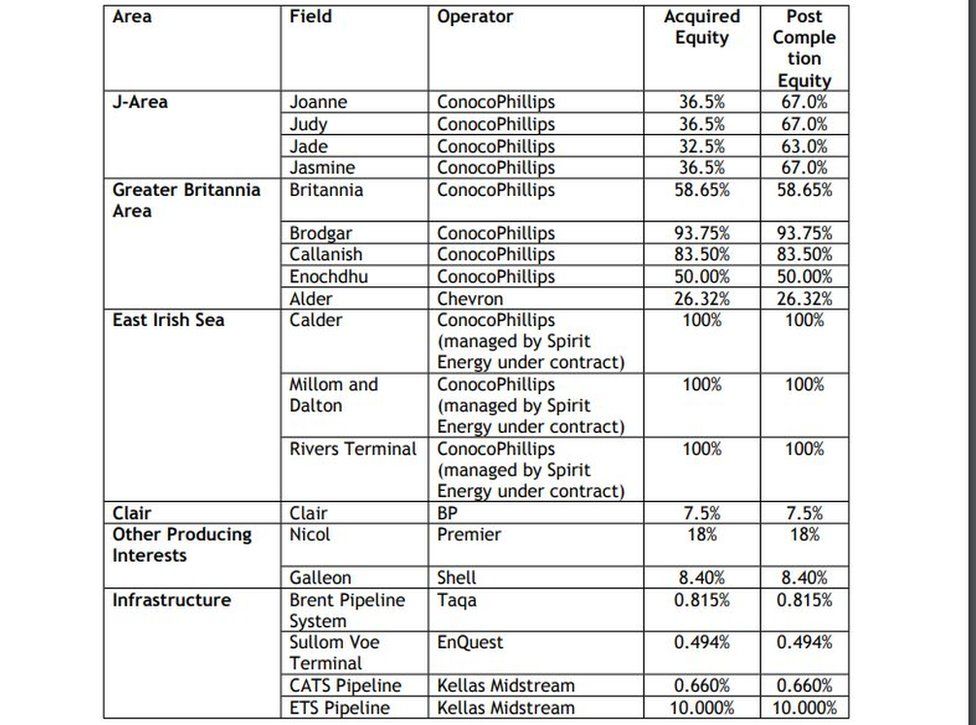 Chrysaor table of assets acquired