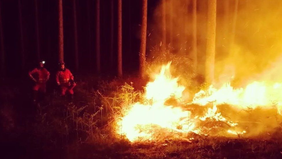 Wareham Forest: Crews 'make good progress' tackling blaze - BBC News