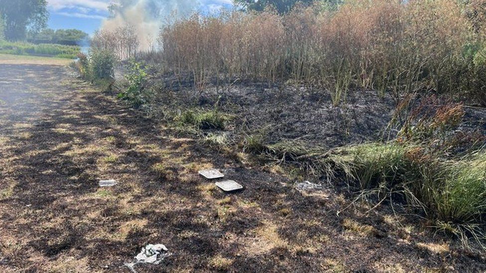 Burnt heathland