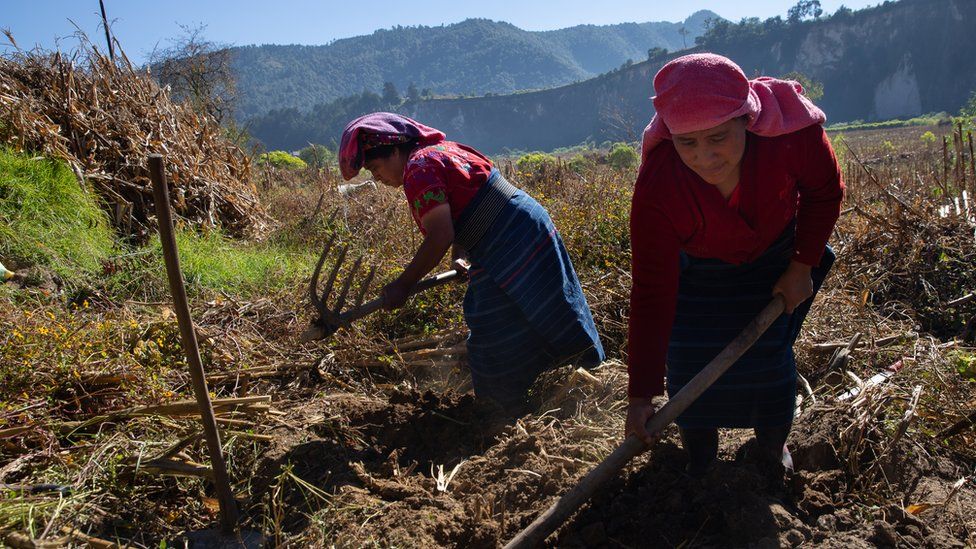 Мария де ла Крус Лопес Васкес и ее дочь вспахивают кукурузные поля, которые они обрабатывали десятилетиями в Кахоле, Гватемала