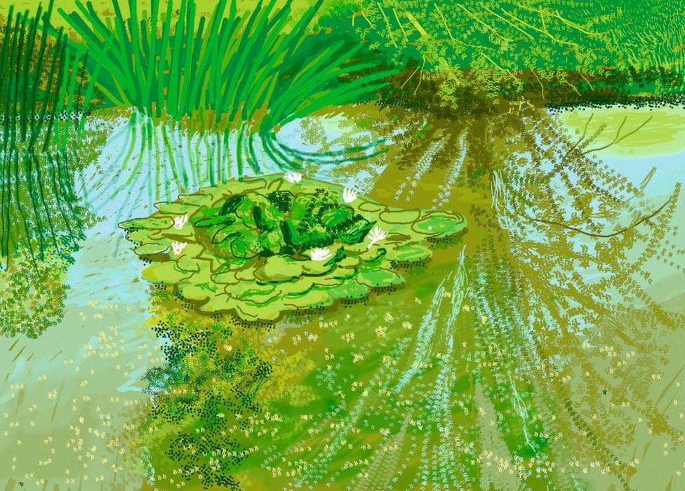 David Hockney's Waterlilies