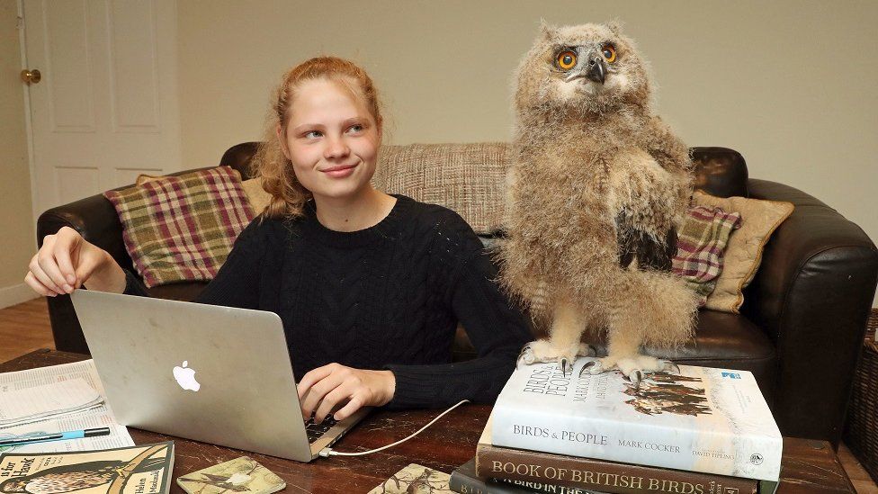 Benedict the owl with Sasha Boulton