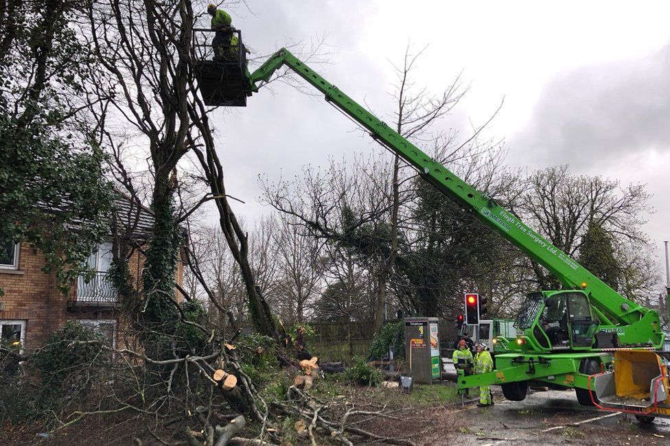 Tree surgeons clearing fallen trees from Broomhill Avenue in Londonderry.