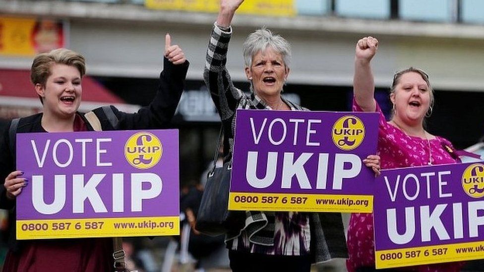 UKIP supporters in 2014