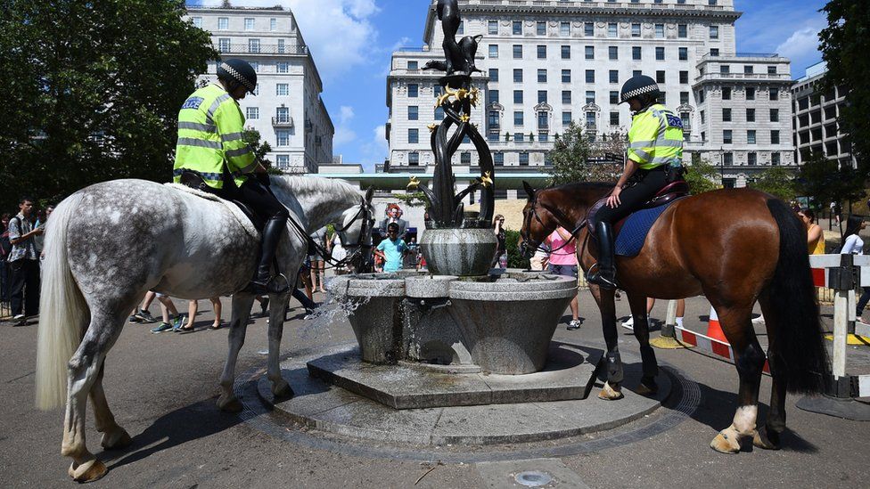 Police horses taking a drink from a fountain in Green Park in central London