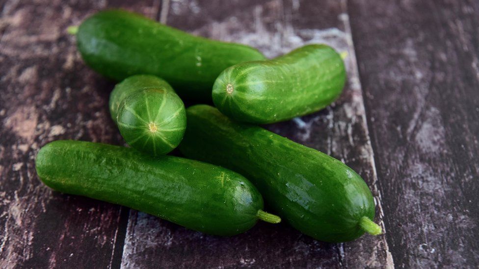 Mini cucumber