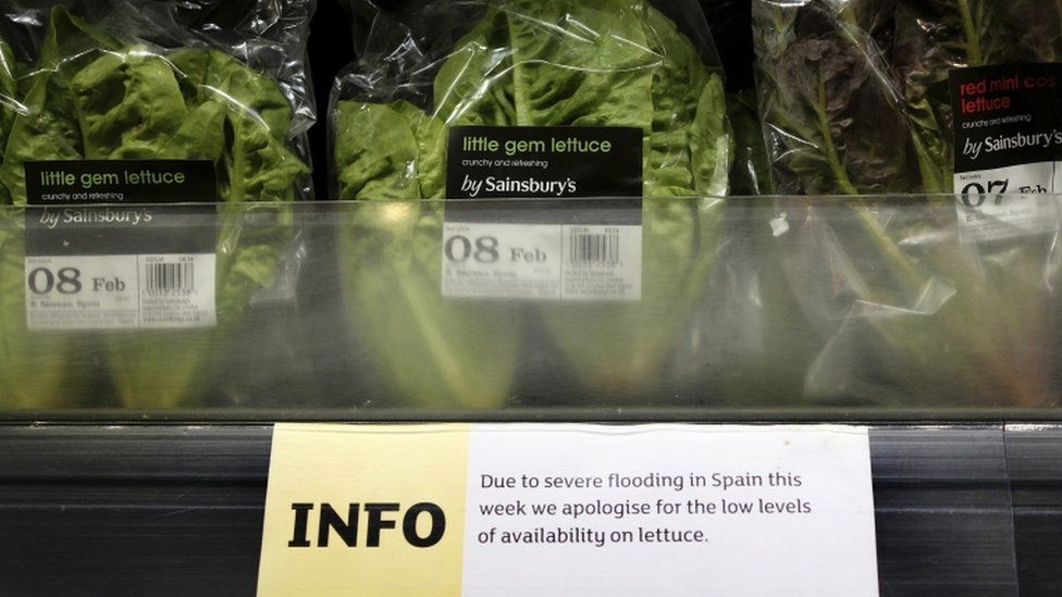 Lettuce rationing